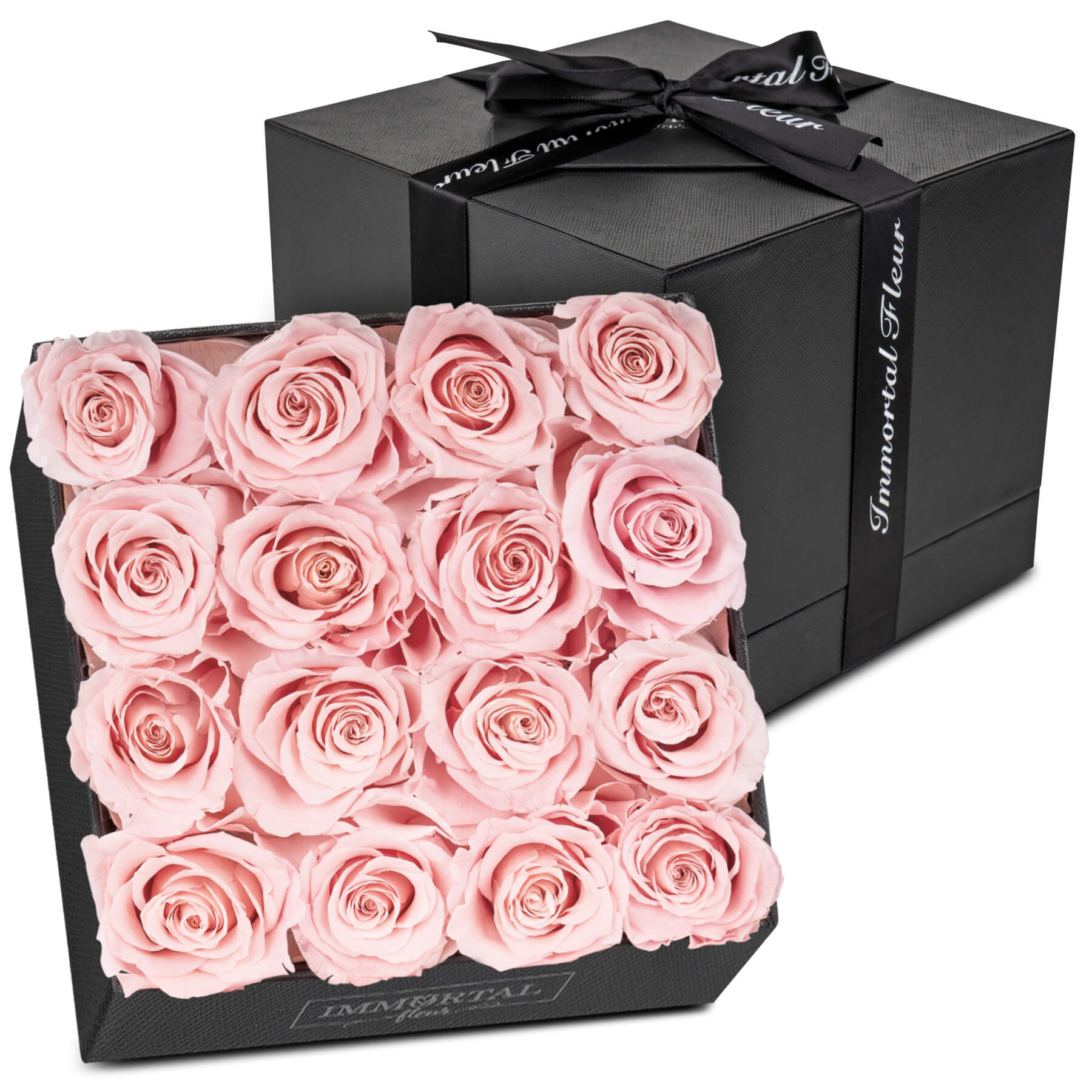 16 Pink Natural Preserved Roses - Last Over A Year