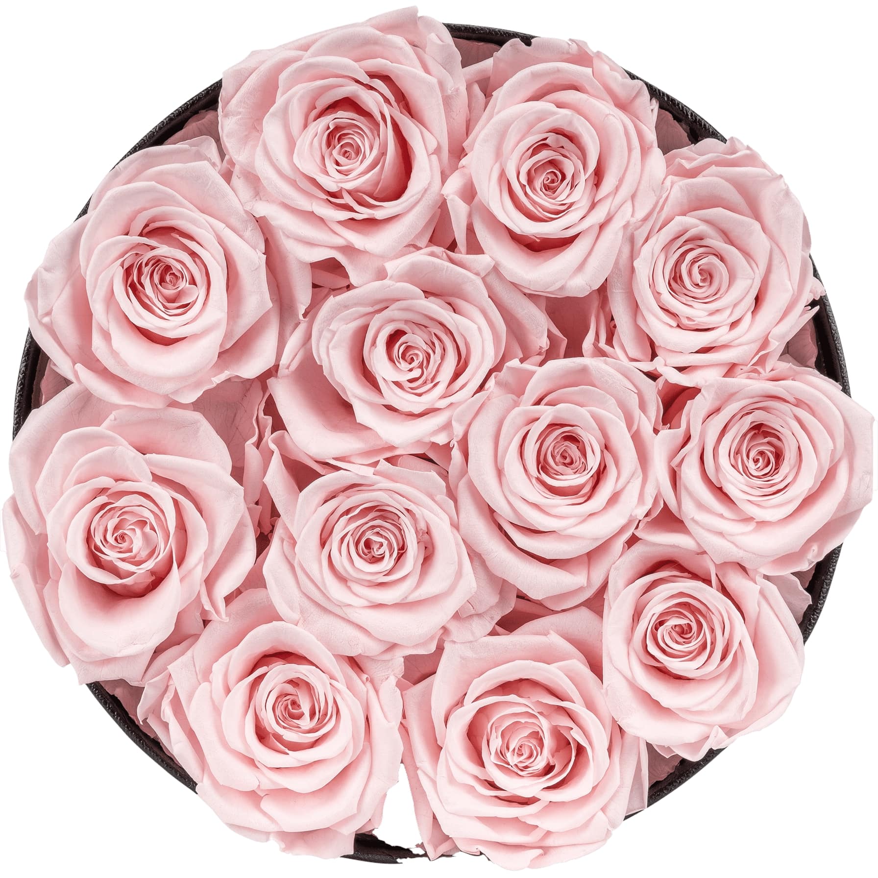Preserved Rose Box (16 Luxury Pink Roses)