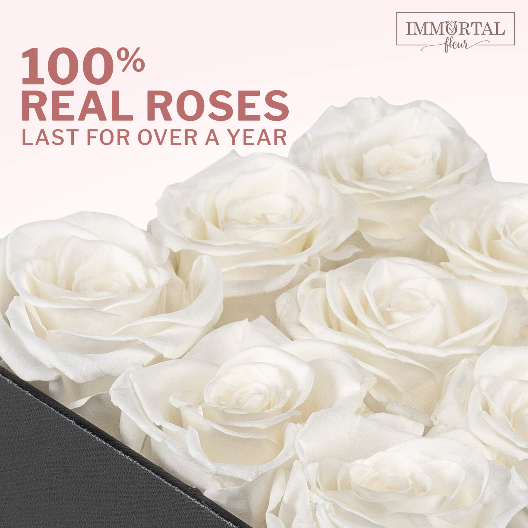 7 White Natural Preserved Roses - Last Over A Year